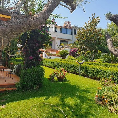 La Capannina Cilento Num 11 Hotel San Marco di Castellabate Exterior photo